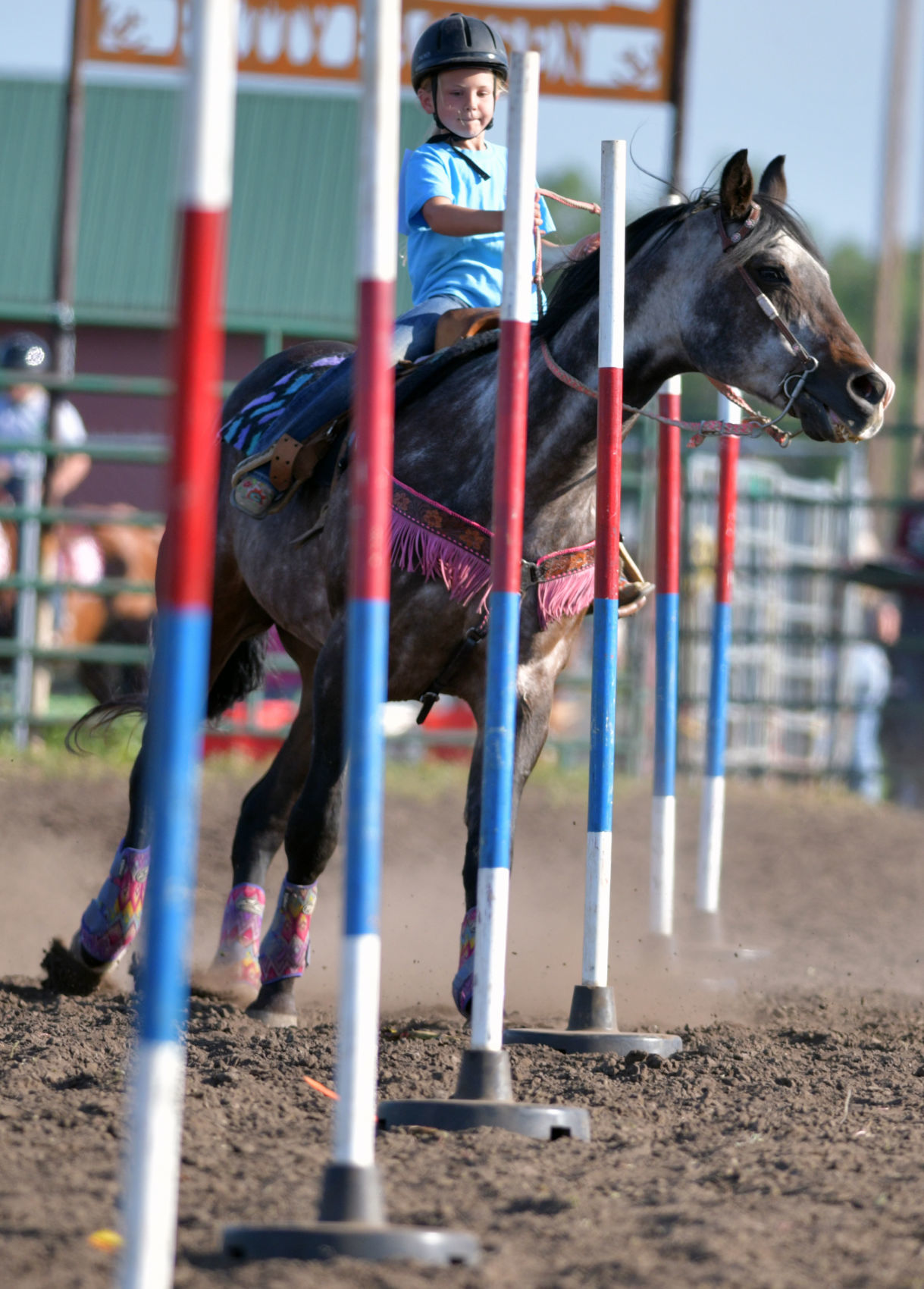 4H races